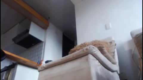 Snapshot of tamara_daniels chatting on 8, 2, 2026 Tamara online show from 8, 2, 2026