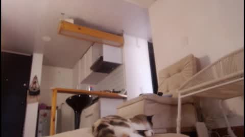 Snapshot of tamara_daniels chatting on 15, 3, 2026 Tamara online show from 15, 3, 2026