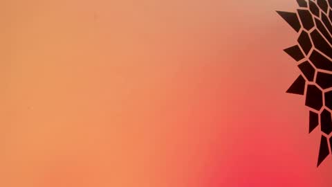 Snapshot of tamarathompsonn chatting on 25, 2, 2025 Tamara. online show from 25, 2, 2025