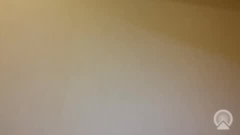 tanelure online show from 31, 1, 2026