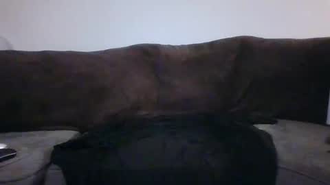 Snapshot of tarshil017 chatting on 12, 11, 2025 tarshil017 online show from 12, 11, 2025