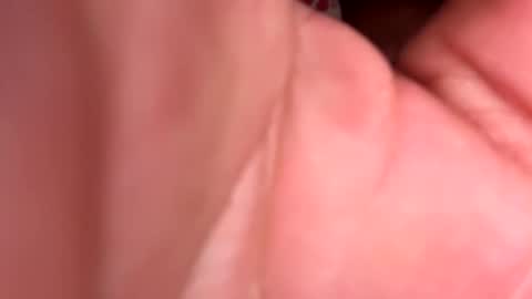 tasmanwawatai27 online show from 20, 2, 2026