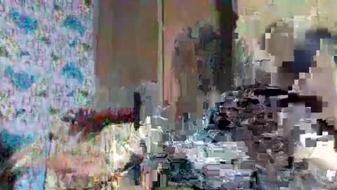 tasty_olive online show from 2, 3, 2025
