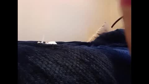 Snapshot of tattedfreeusetoy chatting on 27, 12, 2024 No Limits Chastity Slave online show from 27, 12, 2024