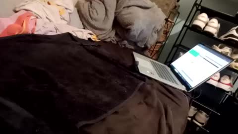 Snapshot of tattedfreeusetoy chatting on 31, 1, 2025 No Limits Chastity Slave online show from 31, 1, 2025