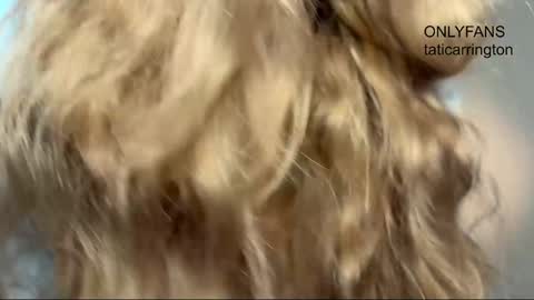 Tata online show from 23, 11, 2025