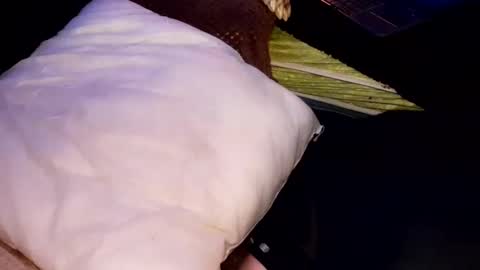 Jean pool online show from 31, 10, 2025