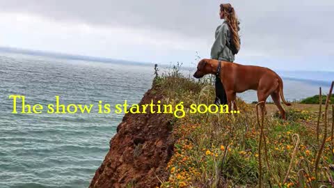 Snapshot of tatum__kahlo chatting on 23, 10, 2025 TATUM ALL MY LINKS online show from 23, 10, 2025