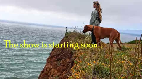 Snapshot of tatum__kahlo chatting on 2, 12, 2025 TATUM ALL MY LINKS online show from 2, 12, 2025