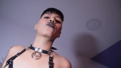 Snapshot of taylorharp chatting on 5, 11, 2025 Taylor online show from 5, 11, 2025