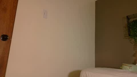 TAYLOR  online show from 10, 11, 2025