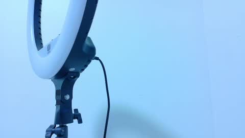 TAYLOR  online show from 13, 11, 2025