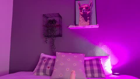 TAYLOR  online show from 18, 11, 2025