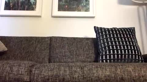 Snapshot of tbiz82 chatting on 21, 3, 2026 Tbiz82 online show from 21, 3, 2026