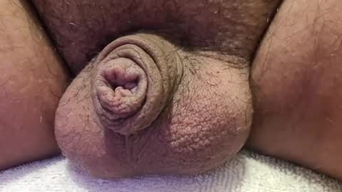 Luis online show from 14, 10, 2025