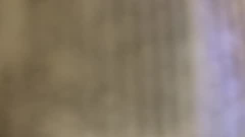 Luis online show from 24, 10, 2025