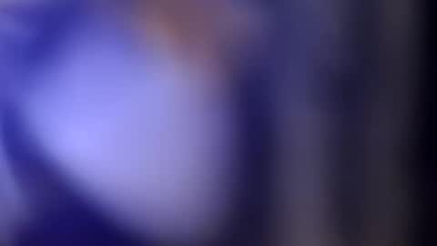 Luis online show from 11, 11, 2025