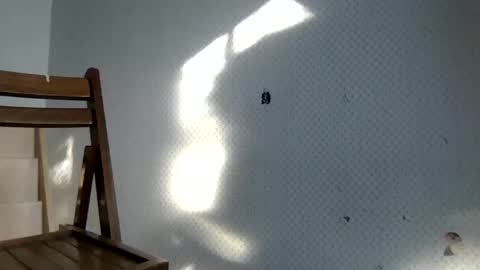 tec0vas online show from 30, 12, 2024