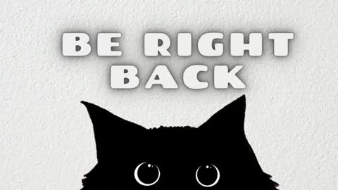 Ted online show from 9, 1, 2026