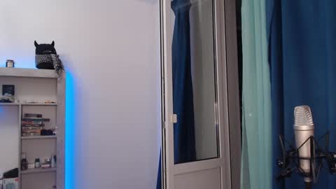 Teddy online show from 18, 12, 2024