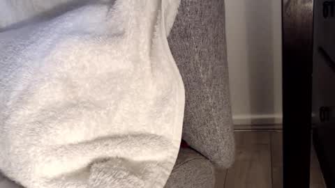 Snapshot of tedging2 chatting on 28, 1, 2025 Tedging2 online show from 28, 1, 2025