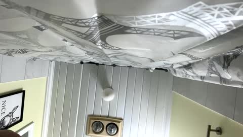 Twizzler online show from 12, 2, 2025