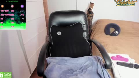 Scar online show from 25, 1, 2025