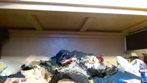 terdy2366 online show from 23, 10, 2025