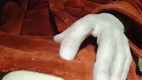 tetuo2 online show from 14, 10, 2025