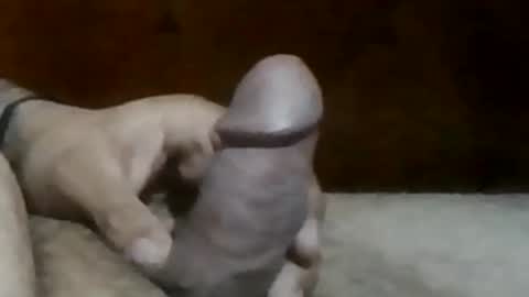 texasbigdaddy63 online show from 19, 9, 2025