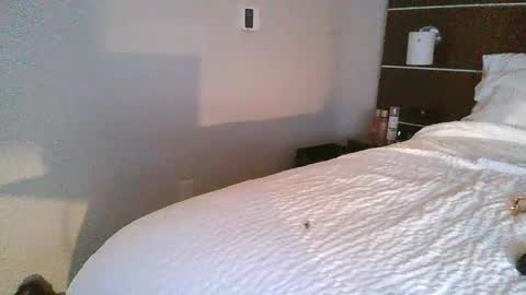 tfoolery34 online show from 24, 2, 2026