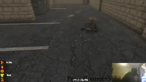 . online show from 28, 10, 2025