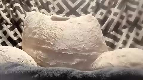 Snapshot of thatb1 chatting on 13, 4, 2026 thatb1 online show from 13, 4, 2026