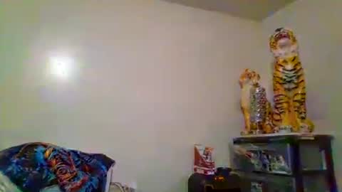 thatgirl4201 online show from 15, 11, 2025