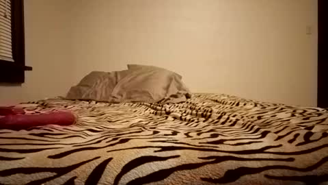 Snapshot of thatman1997655 chatting on 11, 11, 2025 thatman1997655 online show from 11, 11, 2025