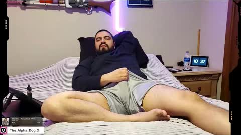 Snapshot of the_alpha_dog_xxx chatting on 23, 2, 2026 the_alpha_dog_xxx online show from 23, 2, 2026