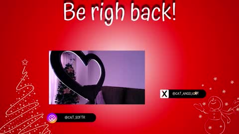 i am Cat  online show from 4, 12, 2025