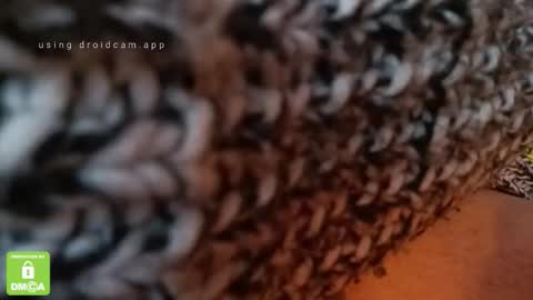 The Real Hanjob Couple online show from 4, 2, 2026