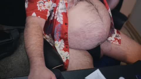 The Bear King online show from 23, 3, 2026