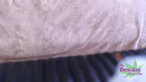 Snapshot of thebeejayshow chatting on 4, 12, 2024 TheBeeJayShow online show from 4, 12, 2024