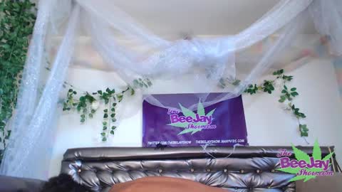 Snapshot of thebeejayshow chatting on 4, 12, 2024 TheBeeJayShow online show from 4, 12, 2024