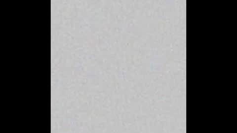 Wolf Independent model online show from 30, 11, 2025