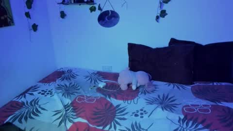 Ariamapola88 online show from 16, 11, 2025