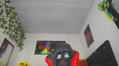 Snapshot of thegemini_prince chatting on 2, 12, 2024 Prince online show from 2, 12, 2024