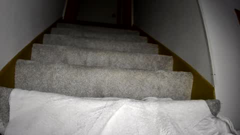 thegreat6268469 online show from 9, 3, 2025