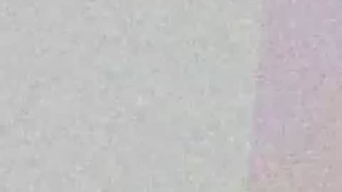 fuzzyfox online show from 3, 4, 2026