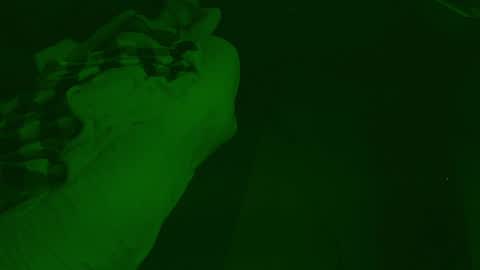 thehungmantis online show from 26, 12, 2024