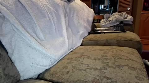 Snapshot of theicecreamguru chatting on 8, 10, 2025 theicecreamguru online show from 8, 10, 2025