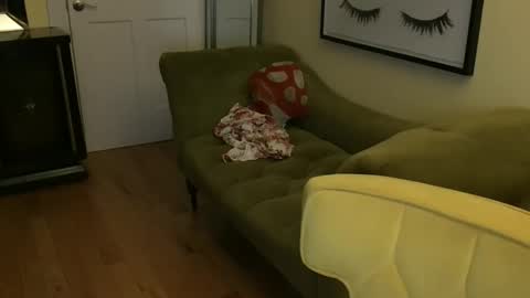 Cach Nelson online show from 11, 11, 2025