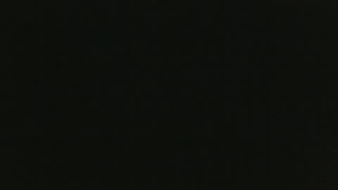 JohnSilver online show from 8, 12, 2024